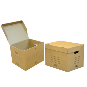 Storage Carton Box